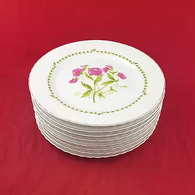 Buy Trade Winds Tableware - Set Of 8 Dinner Plates - Floral Pattern - OP 3190 • 60£