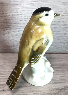 Buy Vintage Dresden  Porcelain Bone China Bird Figurine Sculpture Mint • 15.50£