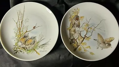 Buy Vintage Kaiser Pottery Germany Set Of 2 Bird Plates-Buchfinken & Stieglitxe • 19£
