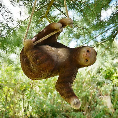 Buy Hanging Sloth Sculpture Large Tree Outdoor Climbing Garden Tree Ornament Decor  • 25£