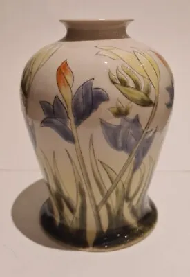 Buy Cobridge - Floral Scene Vase - Very Collectable - NO RESERVE  • 95£