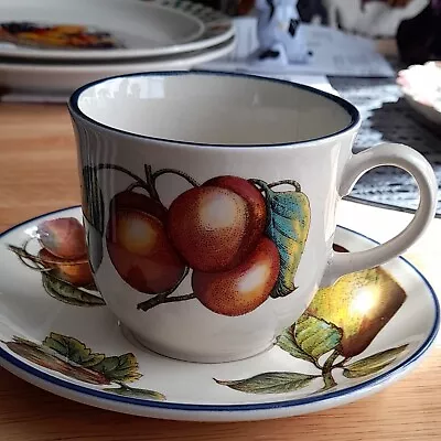 Buy Staffordshire Pottery Autumn Fayre Apple Pattern Cup And Saucer • 4.50£