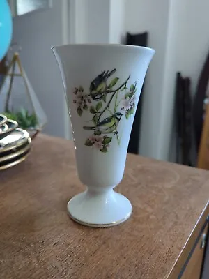 Buy Coalport Fine Bone China Vase Pair Of Great Tit Bird Design 16cm Tall  • 10£