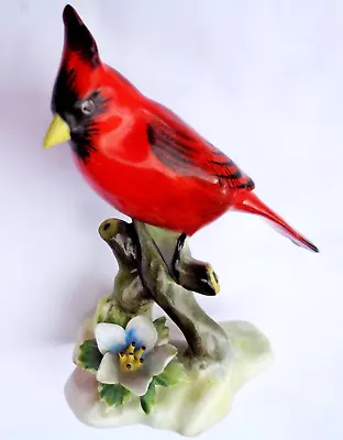 Buy Royal Adderley China Bird The Red Cardinal Bone China Staffordshire • 14.99£