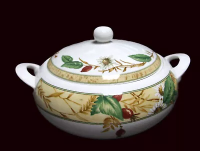Buy Royal Doulton Expressions Edenfield Lidded Tureen Vgc • 17.99£