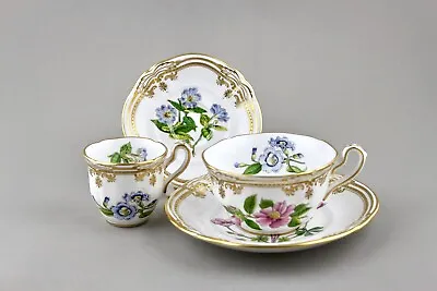 Buy Spode Stafford Flowers England Tea & Coffee Cup & Saucer Y8519 1st Perfect! • 195£