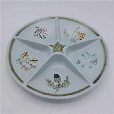 Buy Buchan Portobello Stoneware Divided Serving Platter Scotland Thistles Flowers  • 1£