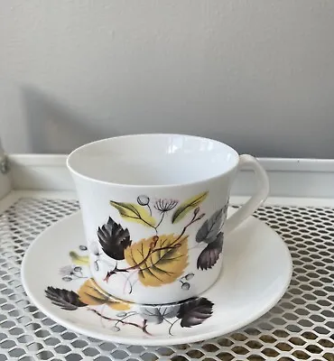Buy Queen Anne 1 Cup & 1 Saucer + 5 Dinner Plates Ashley Pattern • 9£