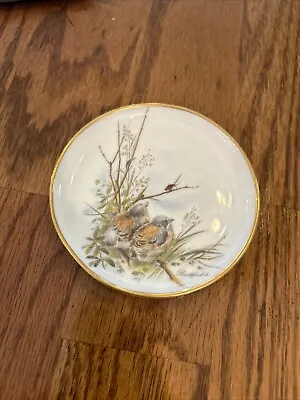 Buy Vintage Kaiser W Germany Fine Porcelain Finch Babies 4  Coaster Buchfinken Finch • 5.71£