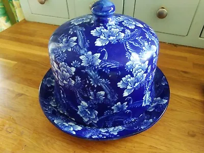 Buy Antique 1900s  Blue Dish White Floral Cheese Dome Ironstone China Cake Stand  • 29.99£