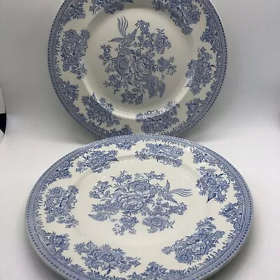 Buy Burleigh Burgess & Leigh Asiatic Pheasants Blue Luncheon Plate - 8 7/8” X 2 • 28£