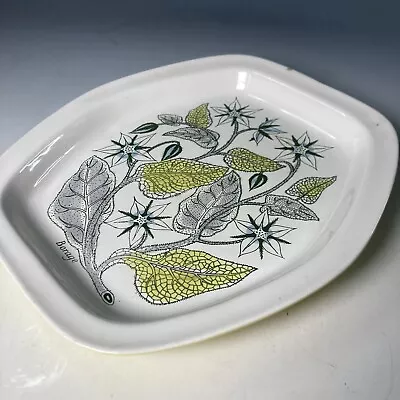 Buy Vintage Retro POOLE POTTERY Herb Garden Borage Oven Tableware Dish Or Plate • 29.95£