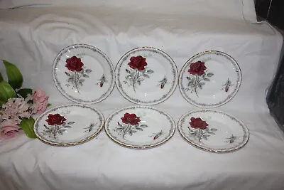 Buy [10975  Vintage Royal Stafford Bone ChinaRoses To Remember Tea Plates X 6 16cm • 16£