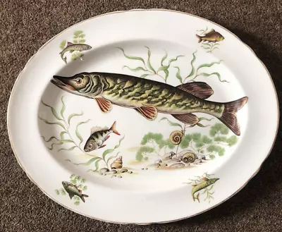 Buy Retro Shelley Fish Design Fine Bone China Large Oval Serving Plate Platter • 12£