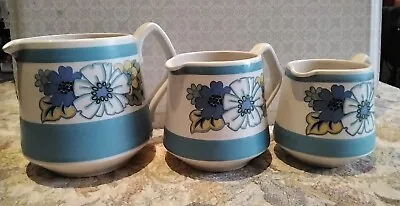 Buy Vintage Retro 1960's Set Of Three Sadler Pottery Graduated Floral Design Jugs  • 28£
