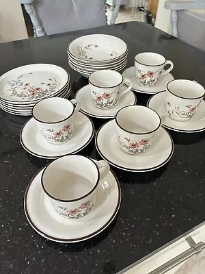 Buy Vintage Arklow Honeystone Glenwood Pottery Cups , Saucers,plates Bowls 24 Piece • 24.99£