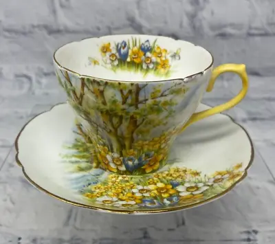 Buy Vintage Shelley  Daffodil Time  Bone China Cup And Saucer (PG140G) • 9£