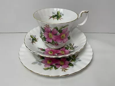 Buy Royal Albert Prairie Rose Tea Trio Cup Saucer & Side Plate Superb 1st • 22.99£