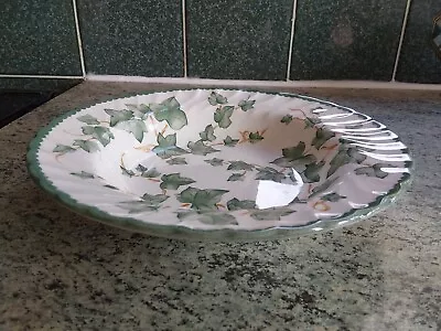 Buy BHS Country Vine Rimmed Soup/Pasta Bowl 9 Inch • 9.99£