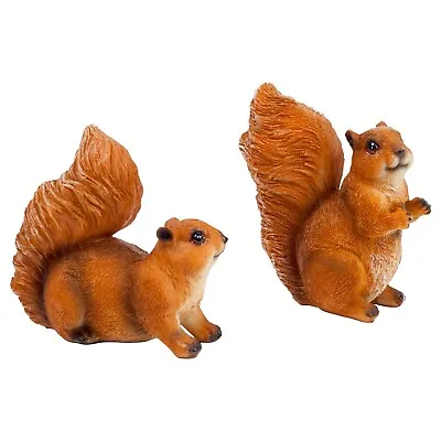 Buy Pair Of Garden Squirrel Ornaments Outdoor Animal Statue Decorations • 14.99£