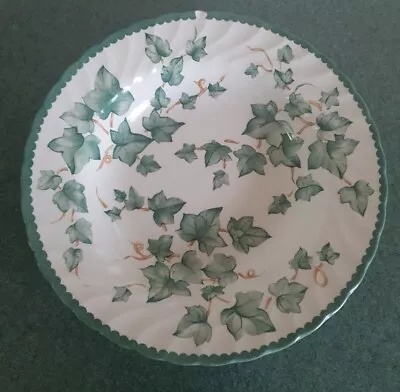 Buy Single BHS COUNTRY VINE RIMMED SOUP/CEREAL BOWL  • 4.99£