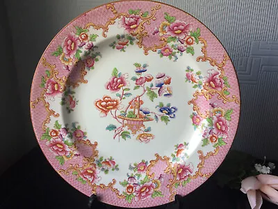 Buy Chipped -Royal Cauldon Dinner Plate White Floral Ceramic Tableware Dessert Plate • 5£