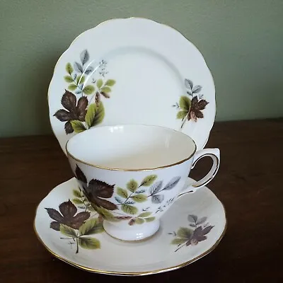 Buy Vintage, Queen Anne, Tea Cup, Saucer & Side Plate Trio Bone China, Ridgway, 8285 • 5.95£