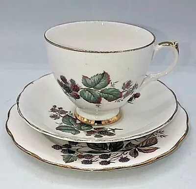 Buy ✅Vintage Fine Bone China Made In England Tea Set Tea - Cup - Saucer - Plate✅ • 12.99£