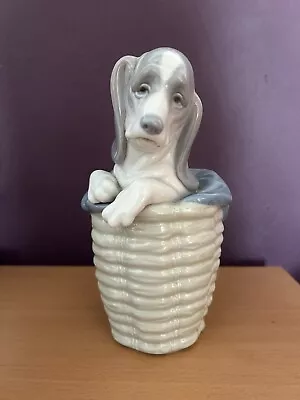 Buy Lladro Vintage    Dog In The Basket    #1128 Sad Puppy In Basket Ornament • 19.99£