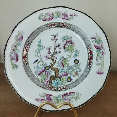 Buy Antique 1920s, Burleigh Ware 'Indian Tree' Pattern 25cm Dinner Plate • 5.95£