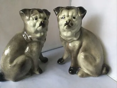 Buy Pair Of Antique Staffordshire Pottery Dogs - Pugs 9” Tall  • 35£