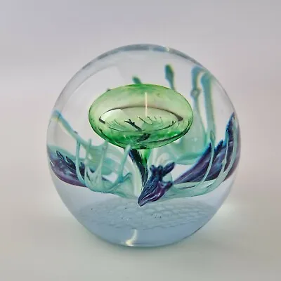Buy Caithness Scotland Art Glass Paperweight Awakening 10/650 Limited Edition  • 79£