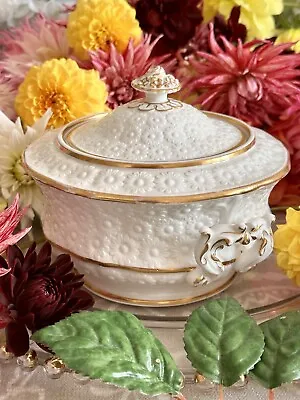 Buy Antique Spode? Sucrier, Sugar Box, Embossed Daisy Flowers • 24.99£