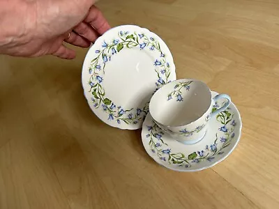 Buy Shelley Harebell Pattern  Cup Saucer & Plate - Trio • 19.99£