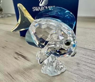 Buy RARE Swarovski Crystal 2007 BLUE TANG FISH COLOUR 886180 SCS Mint Boxed Retired  • 95£