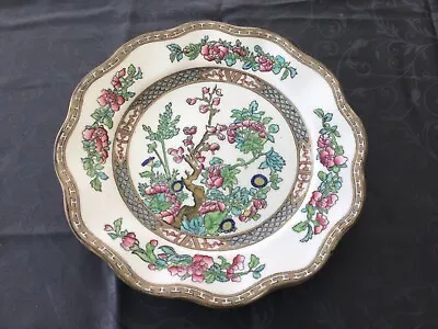 Buy Coalport China Indian Tree  Scalloped Edge Large Plate 27 Cm. Good Condition • 5.99£