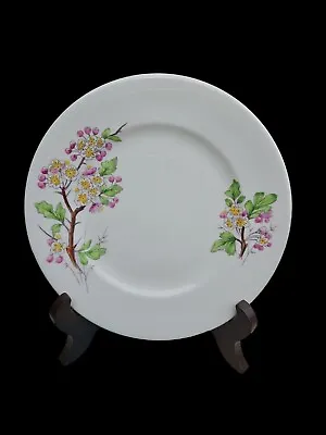 Buy Vintage 1950s Royal Albert Flower Of The Month May Hawthorn Bread Side Plate  • 4£