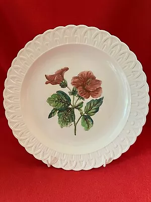 Buy 1949 W T Copeland & Sons (Spode) Cabinet Plate Begonia Pattern #2371/6 Signed • 79.04£