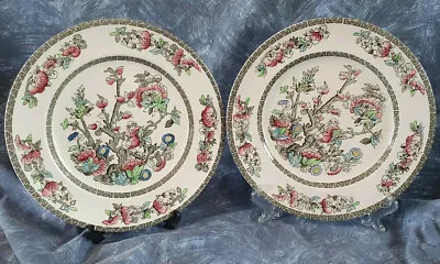 Buy Johnson Brothers — Staffordshire — Indian Tree — Regal Shape — 2— Dinner Plates • 18.50£
