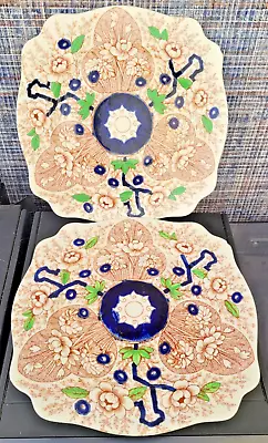 Buy Pair Of Vintage Royal Staffordshire 'Cairo' Wilkinson Hand Coloured Plates 23cm • 5£