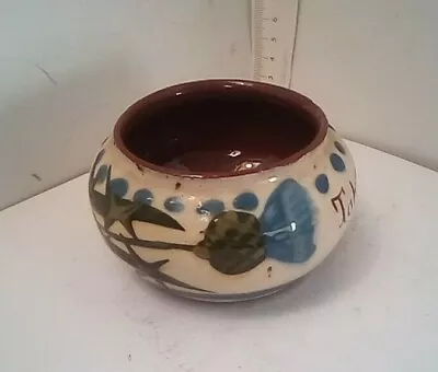 Buy Aller Vale Pottery Torquay Devon Thistle Design Sugar Bowl Scottish Interest  • 8£