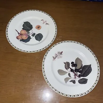Buy Set Of 2 Queens The Royal Horticultural Society Hookers Fruit 8.5” Salad Plates • 12.25£