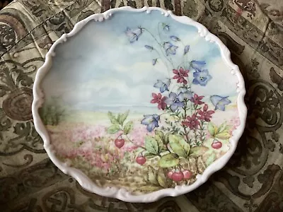 Buy Royal Albert Plate,Flowers Of The Hedgerow,Harebell & Heather 21cm VGC 1st • 3£