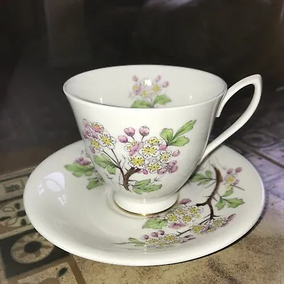 Buy 1950’s Royal Albert Flowers Of The Month Cup And Saucer May Hawthorn • 8£