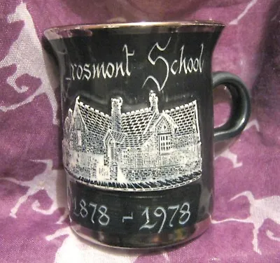 Buy Lovely Rumney Pottery Mug Grosmont School 1878 - 1978 Approx 3¾ Ins Tall • 8.99£