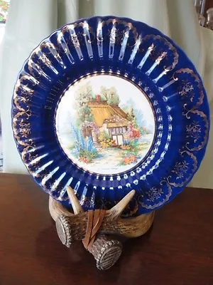 Buy Plate Somerset Cottage Cobalt Royal Victoria Wade England Pottery 10-3/4 W  • 47.31£