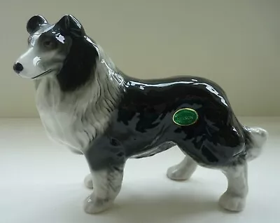 Buy Vintage BLACK AND WHITE ROUGH HAIRED COLLIE DOG Nelson Pottery England And Label • 12£
