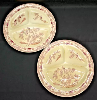 Buy Set 2 - Red Willow Divided Plate - Societe Ceramique Maestricht - Holland (288) • 14.38£