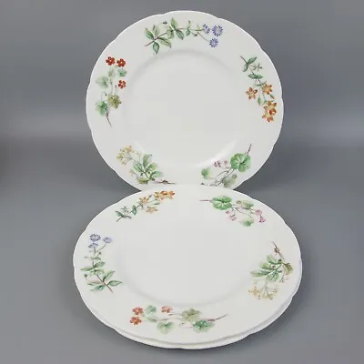 Buy Minton Dinner Plates  Meadow  X 3. Vintage Bone China. Floral. 10.75  • 24.99£