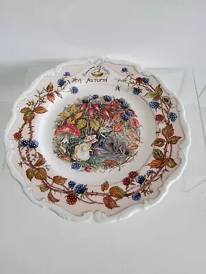 Buy Royal Doulton Brambly Hedge Autumn 8  Afternoon Tea Plate 20cm  • 9.99£